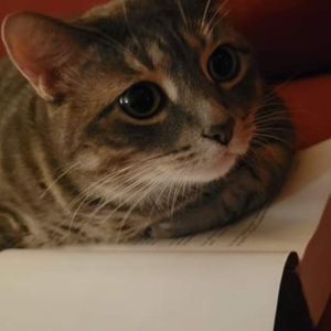 My intellectual. He is interested in Dostoyevsky, not designer jackets and coats